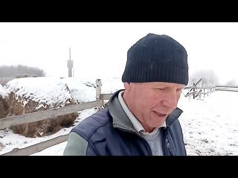 Видео: Где лучше встретить старость в городе или деревне?