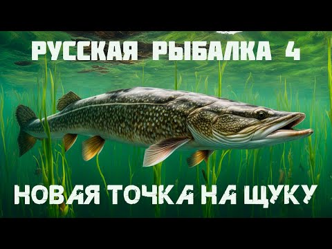 Видео: Новая точка на щуку оз. Старый Острог ▪️ Русская Рыбалка 4