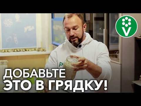 Видео: Маленькая ХИТРОСТЬ при посадке ЧЕСНОКА И ЛУКА для защиты от болезней круглый год!