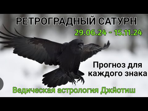 Видео: САТУРН ПОВЕЛИТЕЛЬ КАРМЫ #астрология_онлайн #джйотишастролог