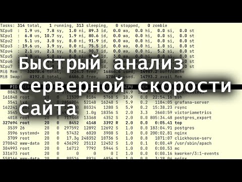 Видео: Быстрый анализ серверной скорости сайта