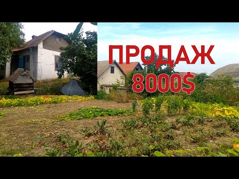 Видео: Огляд ділянки з будинком у місті. Тернопільська область.