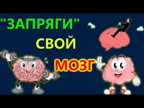 Видео: 15 увлекательных и неожиданных вопросов на общие знание ТЕСТ на общие знания