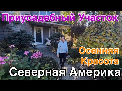 Видео: Обзор Приусадебного Участка в США🏡 Обрезка Гортензий🍂 Высаживаем ИРИСЫ