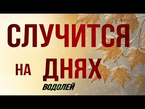 Видео: ✅ ВОДОЛЕЙ,♒️,это ♣️♦️СЛУЧИТСЯ на ❇️ ДНЯХ, таро, гороскоп,водолей неделя таро, неделя 10-16.11.2025, 