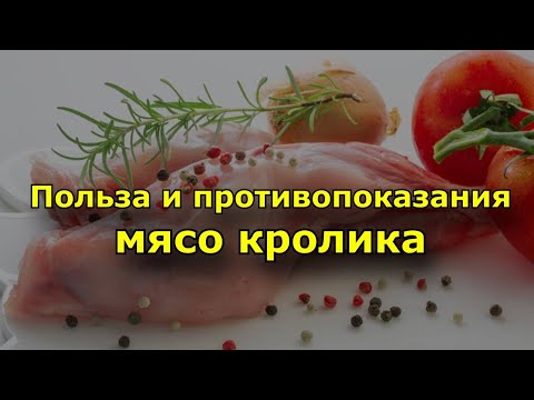 Видео: Польза и Противопоказания к употреблению мяса кролика