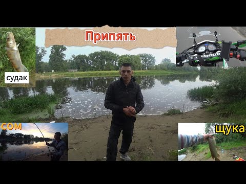 Видео: За хищником на реку Припять!