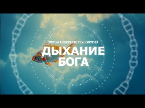 Видео: Дыхание Бога
