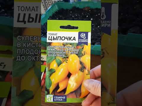 Видео: Начало марта. Рассадила перцы. Посеяла томаты.