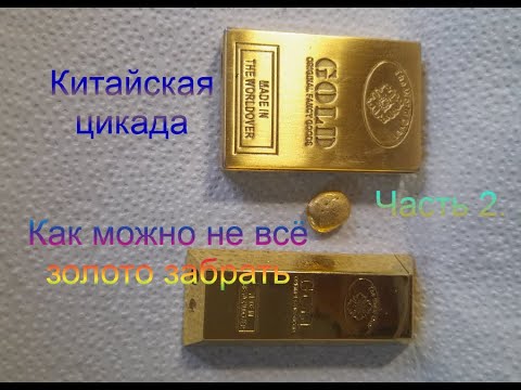 Видео: Часть 2. Как можно не добрать золото с цикады.