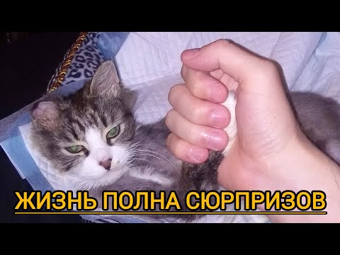 Видео: Счастье оказалось рядом