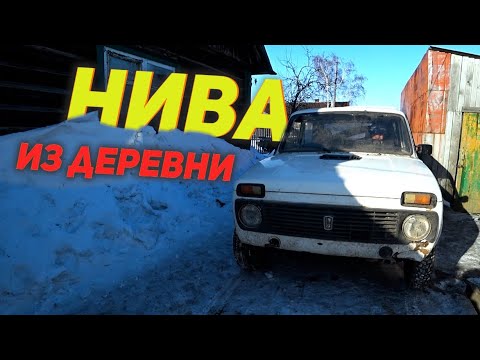 Видео: Мойка НИВЫ из КОЛХОЗА!!! #ОТМЫЛИ