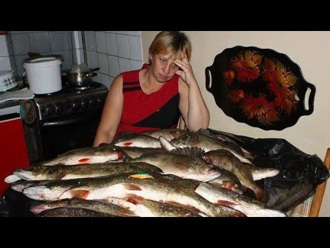 Видео: ПРИКОЛЫ ПРО РЫБАЛКУ 2025 - Самое смешное, ржака на рыбалке, до слез #5