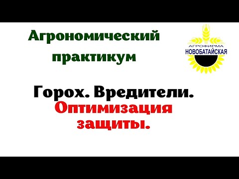 Видео: Горох. Вредители. Оптимизация защиты.