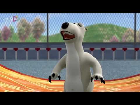 Видео: Бернард и скачки | Мультфильмы для детей | Полные эпизоды