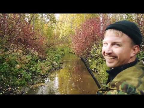 Видео: Путем заболотных татар Ч.2. Вплавь по каналам - резкам.