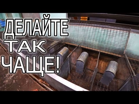 Видео: БОРЕМСЯ С БОЛЕЗНЯМИ ОСЕНЬЮ