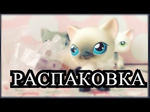 Видео: LPS : Распаковка посылки с АЛИЭКСПРЕССА