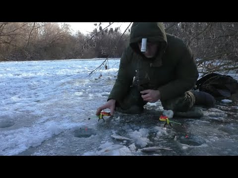 Видео: ЗИМНЯЯ РЫБАЛКА в январе на реке, ловля плотвы ,густеры на мормышку.