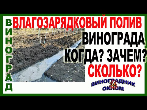 Видео: 🍇 Сделай это!!! Без этого виноградник плохо зимует и плодоносит. Влагозарядковый полив винограда.