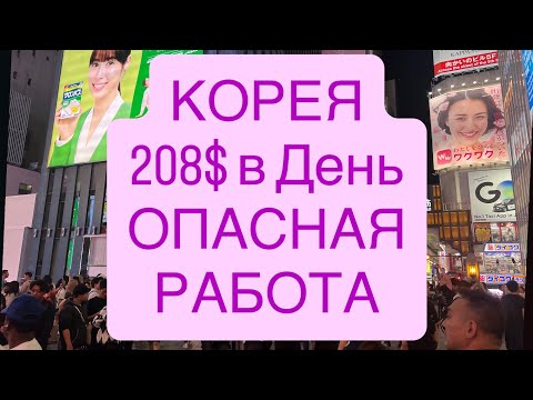 Видео: #КОРЕЯ 208$ в день Опаская работа