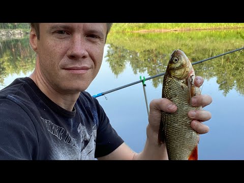 Видео: Язь на Горох.Рыбацкая Кухня.Борьба с Осами МХ-34/2