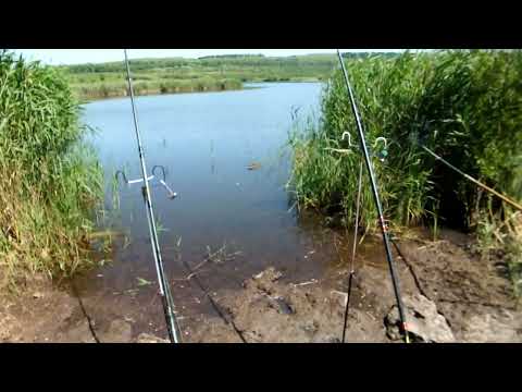 Видео: Отдых на рыбалке от Пал Палыча  28 06 23