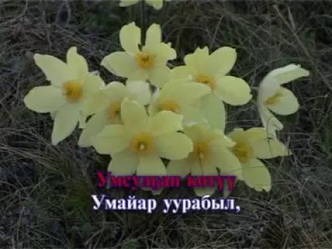 Видео: Сахалыы караоке 1 16