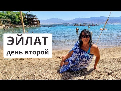Видео: ЭЙЛАТ.  Дельфины, они еще и целуются. Дельфиний риф. Пляж Принцесса