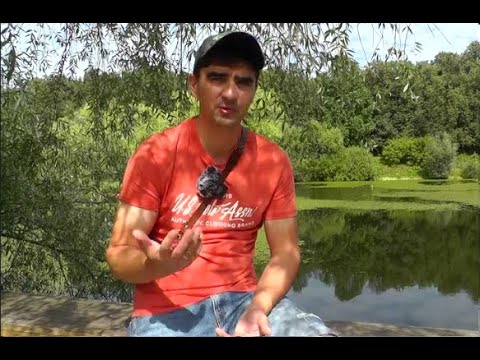 Видео: Где ловить на пенопласт в ЖАРУ?