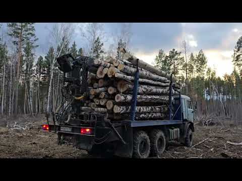 Видео: работа в лесосеке (древесина для собственных нужд (дрова))от выписки до закрытия