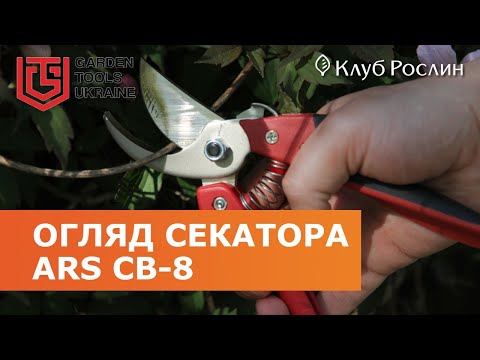 Видео: Секатор ARS CB-8 (Япония) – классическая модель для средней руки