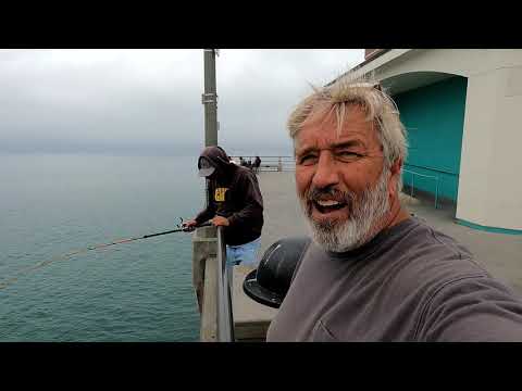 Видео: Как ловить рыбу на пирсах Южной Калифорнии Рыбалка на пирсе Хантингтон-Бич