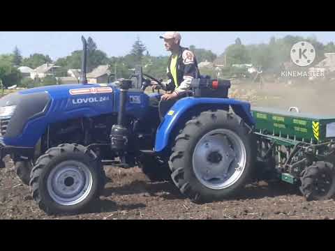 Видео: Посів пшениці 2025 рік