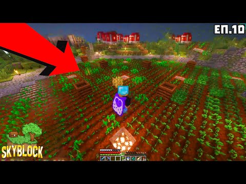 Видео: НАПРАВИХМЕ СИ ФЕРМА! | Minecraft Skyblock еп.10