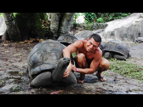 Видео: ЛА-ДИГ.Сейшелы.КРАЙНИЙ ВЫПУСК.Нашли загон с черепахами.Покоряем гору на велосипедах.Нереальные виды