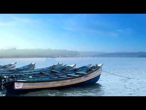 Видео: 2 декабря 2024 г.