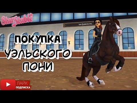 Видео: Покупка УЭЛЬСКОГО пони в Star Stable | Игра про лошадей