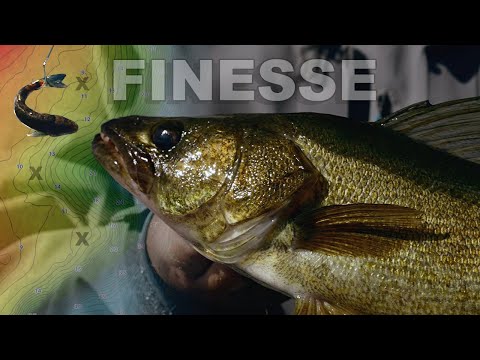 Видео: Самая совершенная оснастка для ловли судака осенью