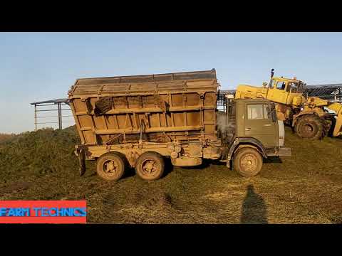 Видео: Последний день заготовки силоса. На уборке отавы клевера.