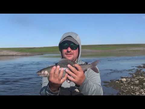 Видео: Кара 2019 "Буредан" (часть3)