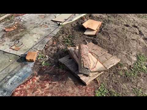 Видео: Козы ,огород и первый снег//