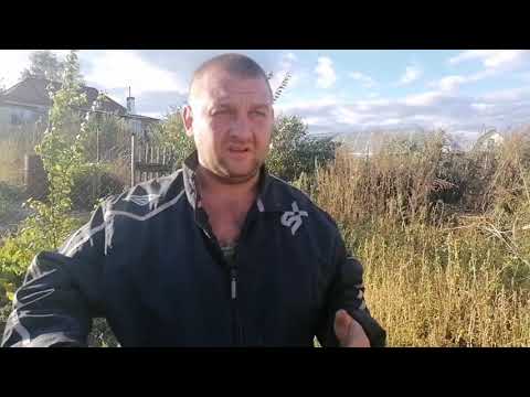 Видео: сорго веники