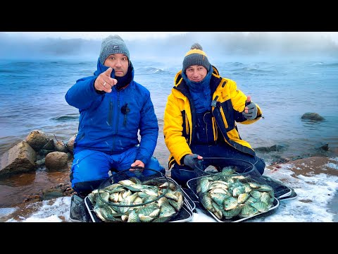 Видео: Зимняя рыбалка на фидер / поиск рыбы эхолотом / Удомля  / Ловля Тиляпии #71 выпуск