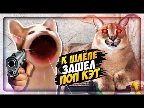 Видео: К ШЛЁПЕ В ГОСТИ ПРИШЁЛ ПОП КЭТ! ПЯТЬ НОЧЕЙ У ШЛЁПЫ! ✅ Five Nights at Floppa