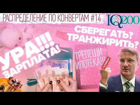 Видео: Распределение по конвертам №14/всё по тысяче и кот-шатун/бюджет 161 900₽