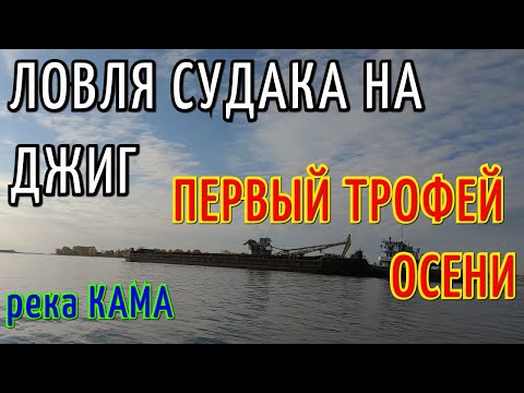 Видео: ЛОВЛЯ СУДАКА НА ДЖИГ. ОСЕННИЙ СУДАК НАЧАЛСЯ. РЕКА КАМА. ВЗЯЛИ ТРОФЕЙ.