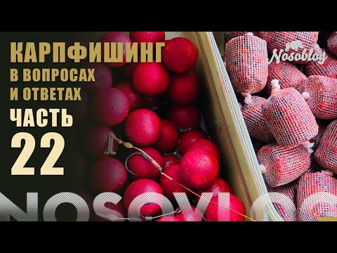 Видео: Карпфишинг в вопросах и ответах, А  Колесников, выпуск 22