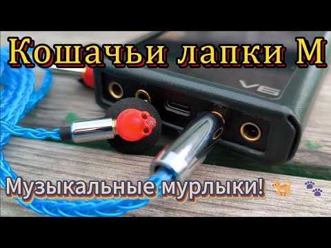 Видео: Кошачьи лапки M - Музыкальные мурлыки! 🐈 🐾