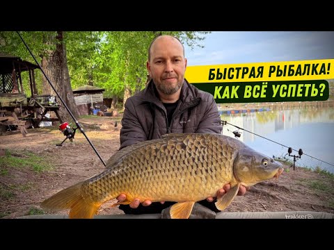 Видео: Как поймать карпа на короткой рыбалке? Карпфишинг на платнике: советы по прикормке и тактике